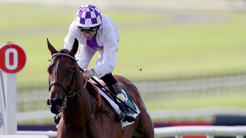 Kevin Manning onboard Verbal Dexterity on the way to winning the Vincent O'Brien National Stakes