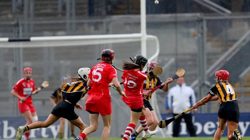 Cork and Kilkenny make up 20 nominations