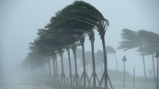 Hurricane Irma lashed Florida's Gulf Coast overnight with tree-bending winds and pounding rain