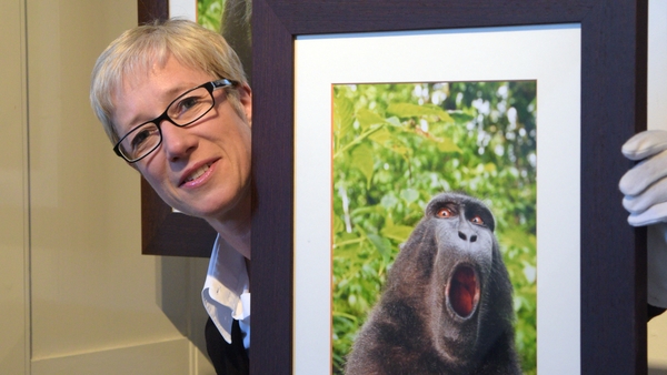 Museum manager Stefanie Dathe displays a photo at the Museum Villa Rot in Burgrieden, Germany