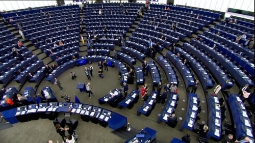 The calls for 'genocide' to be included in the final text were supported by almost all of Ireland's 14 MEPs (File image)