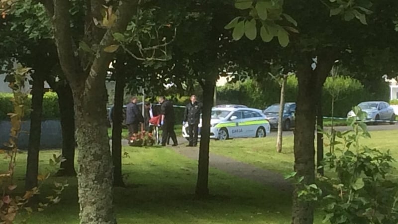 Body was discovered on a green in Ennis