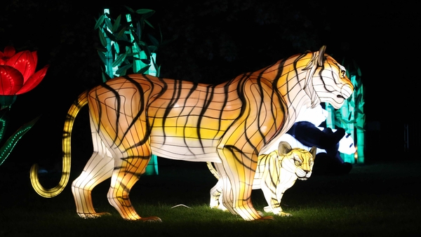 Is this the best date night in Dublin?
