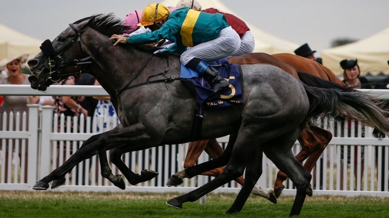 Coronet (grey) winning The Ribblesdale Stakes in June