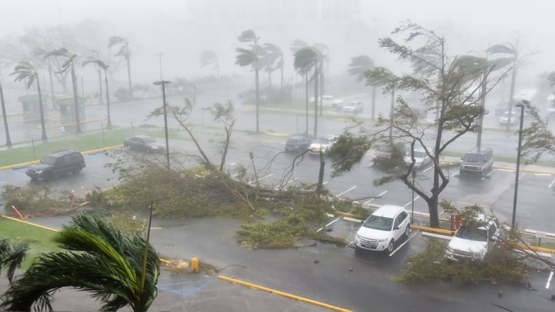 Hurricane Maria devastated large parts of Puerto Rico