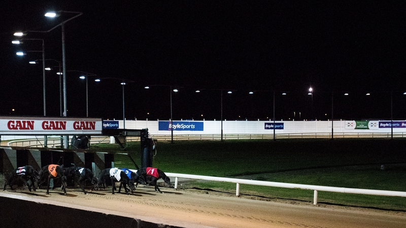 The dogs break from the traps in the final