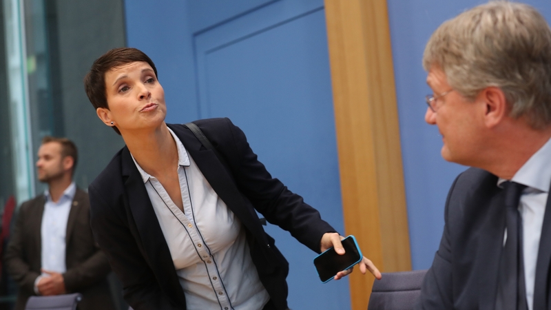 Frauke Petry's announcement caught her colleagues by surprise