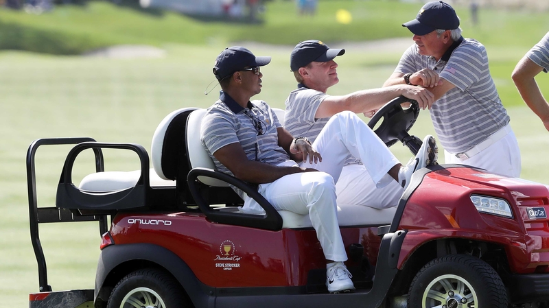 Tiger on the cart