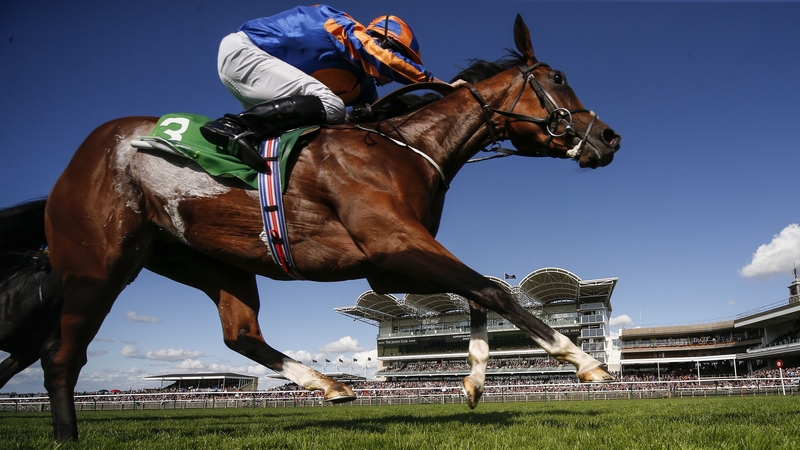 Clemmie was in great form at Newmarket