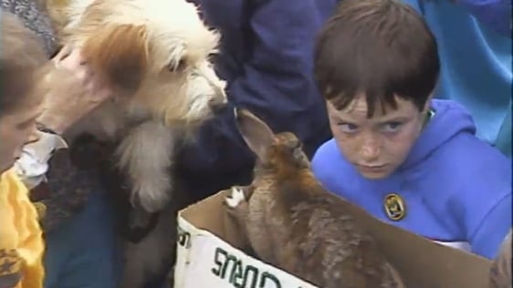 Blessing Of The Animals