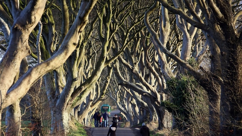 The tunnel of beech trees, or Dark Hedges, is a big draw for tourists