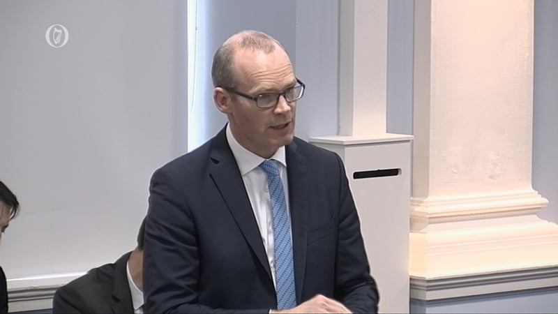 Simon Coveney addressed the Seanad