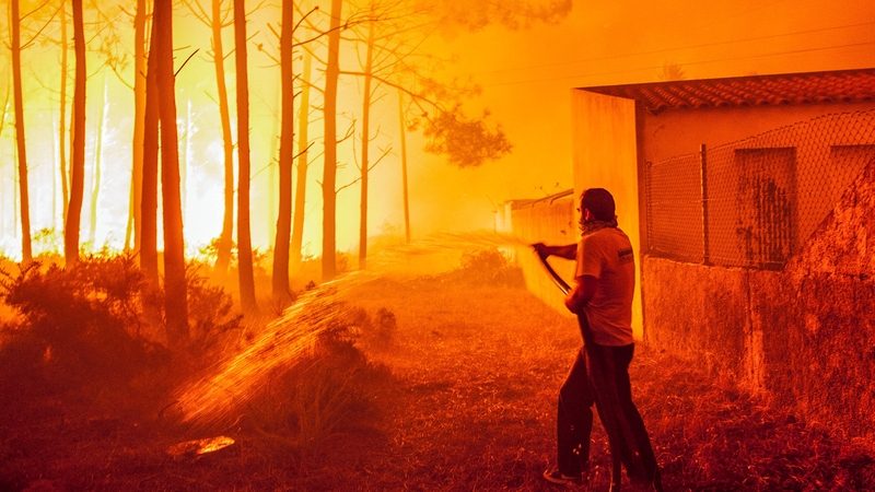 A man fights with a forest fire in Vieira de Leiria, Marinha Grande, in central Portugal