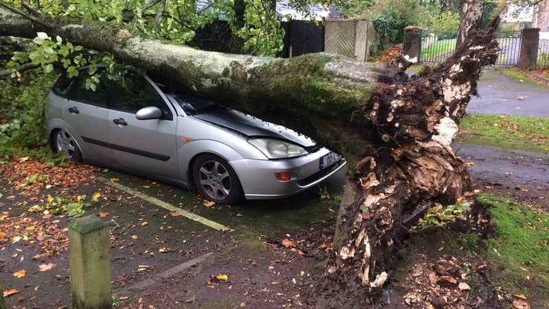 A crushed car at The Moorings off Ballymahon Road in Athlone