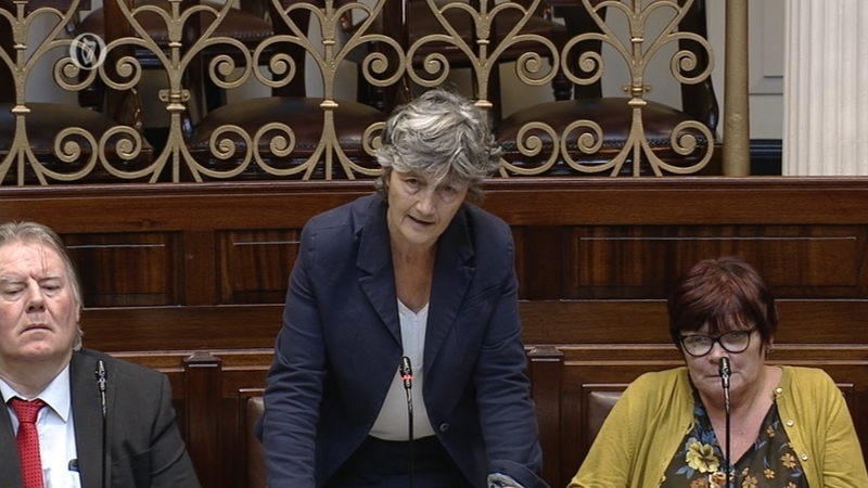 Deputy Catherine Connolly has called for a follow up to the 2002 SAVI report