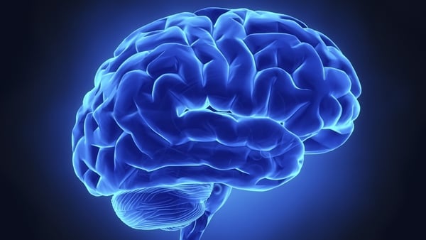How changes in the brain's wiring impact on schizophrenia