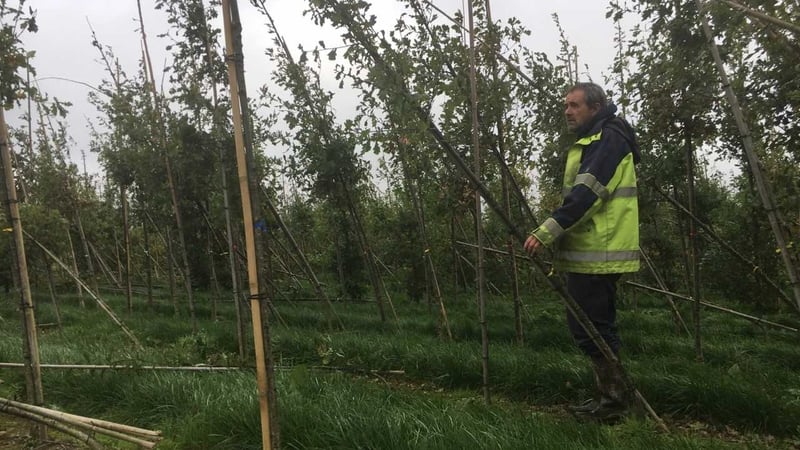 John Murphy estimates the damage caused will run into hundreds of thousands of euro