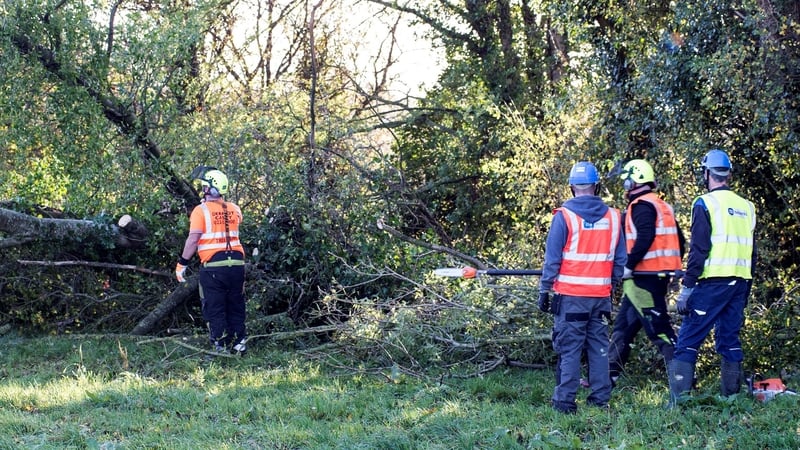 ESB crews cutting fallen trees in Birr, Co Offaly
