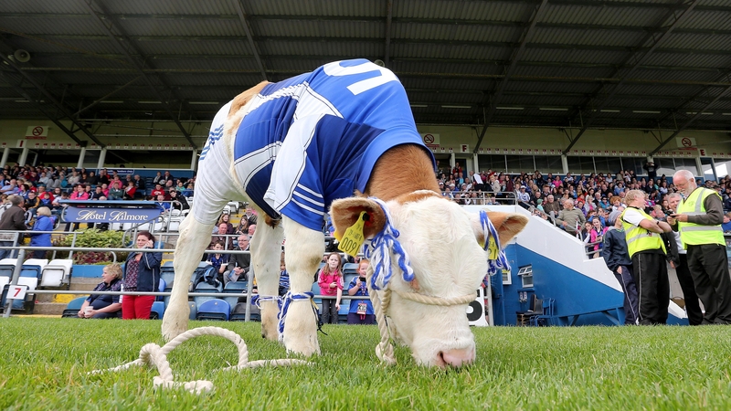 It's not all calves and glamour in the world of GAA social media