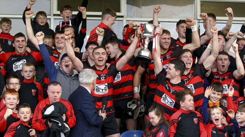 Ballygunner celebrate their win