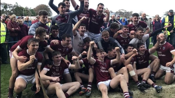 St Martin's beat Oulart-The Ballagh in the Wexford final