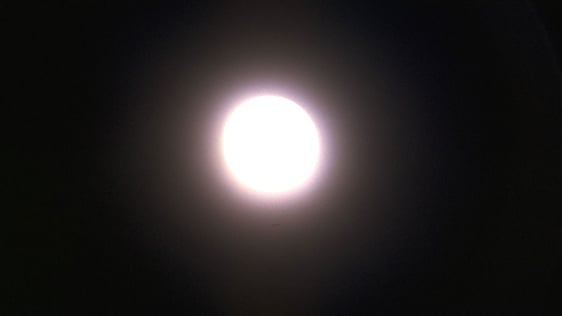 Full Moon © 0735/040