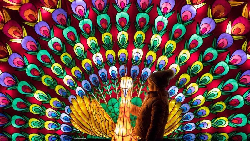 The display runs until January