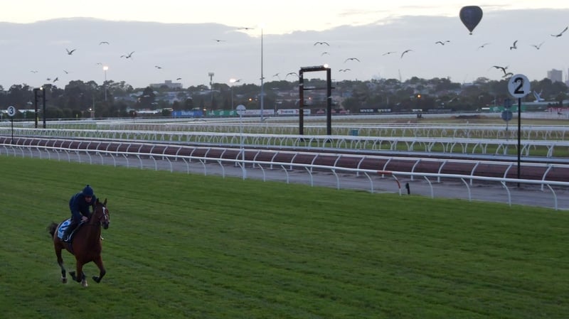 Thomas Hobson from the Willie Mullins gallops on the course proper during a trackwork session at Flemington Racecourse
