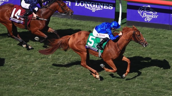 William Buick celebrates after riding Wuheida to victory