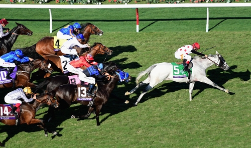 World Approval ridden by John Velazquez (#5) wins the Breeders' Cup Mile