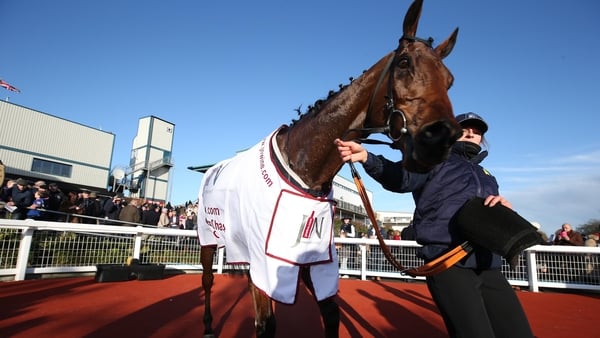 Outlander after his recent Down Royal victory