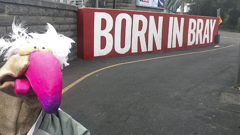 The Bray wanderer - Dustin the Turkey