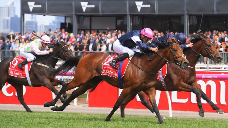 Max Dynamite (L) was third (2017) and second (2015) at the Melbourne Gold Cup