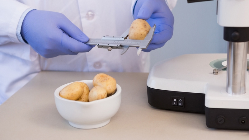 Who would have thought but the humble spud plays a big role in Science Week this year