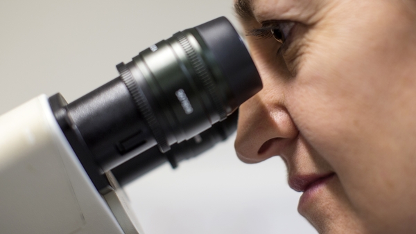 The scientists were speaking ahead of the start of the International Association for Plant Biotechnology's congress
