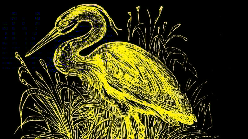 Detail from the beautiful cover image on Tramp Press's reissued edition of Dorothy Macardle's The Unforeseen