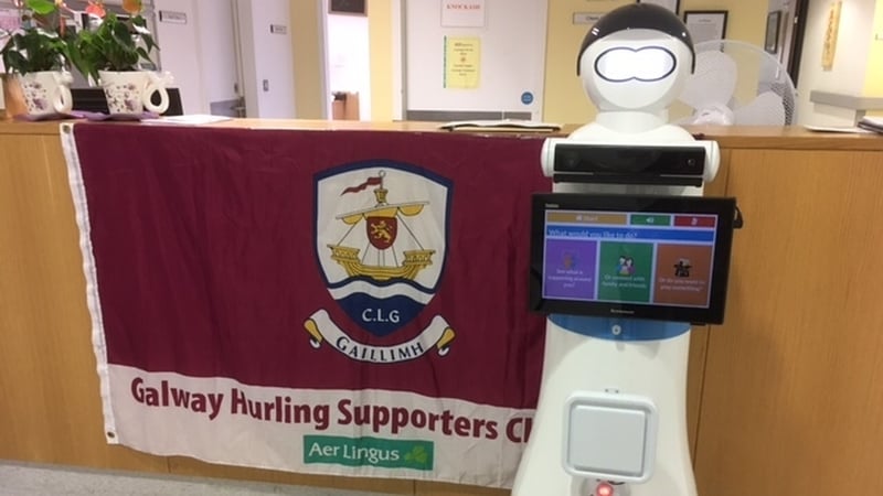 MARIO is settling in well in Galway