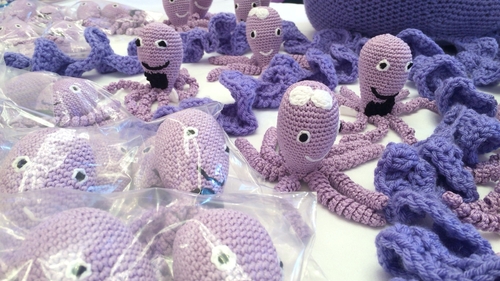 The Tentacles for Tinies programme will be launched on Friday