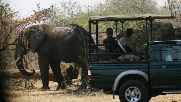 File photo of tourists on safari in Zambia