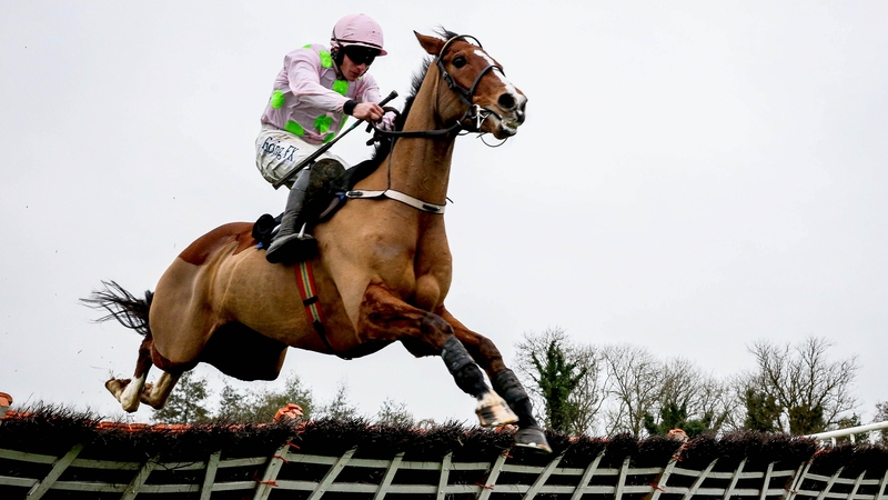 Faugheen had a poor showing at Leopardstown