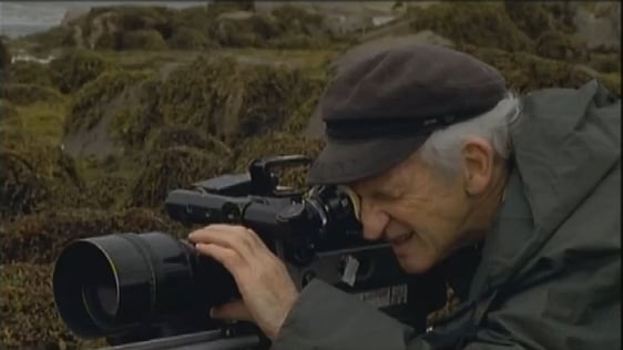 Éamon de Buitléar
