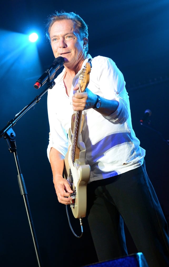 David Cassidy performs during the Paradise Artists Party in 2012
