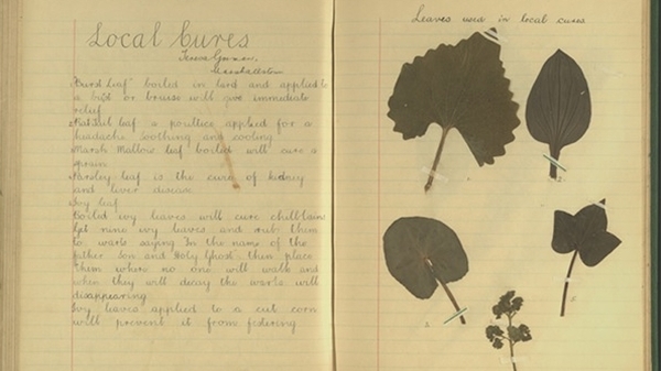 Language learning and frogs in Folklore tonight in UCD!