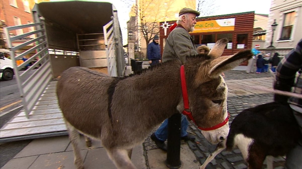  Live Crib at Dublin's Mansion House
