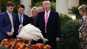 Donald Trump issued many pardons during his presidency
