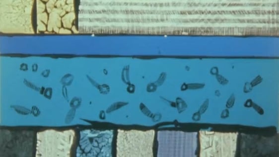 Stained Glass of Maud Cotter (1982)