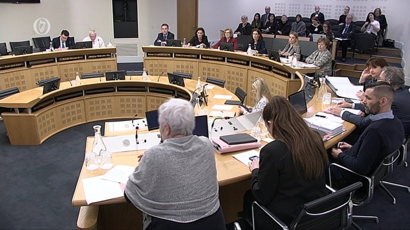The Joint Oireachtas Committee on the Eighth Amendment heard from a witness that the medical prognosis can be wrong