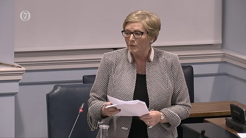 Tánaiste Frances Fitzgerald adressing the Seanad
