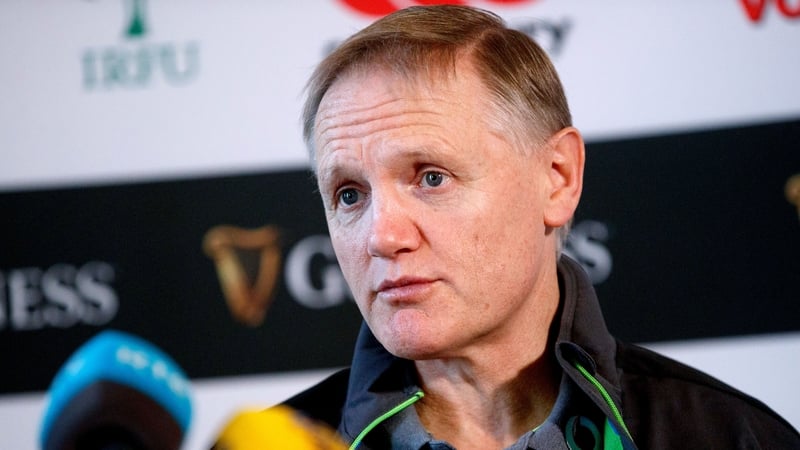 Joe Schmidt anticipates the toughest challenge of the November series this weekend