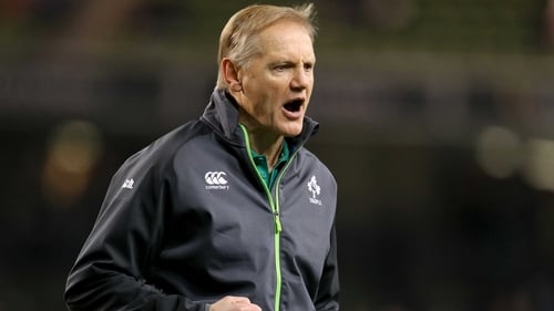Joe Schmidt will fly to the US on Wednesday